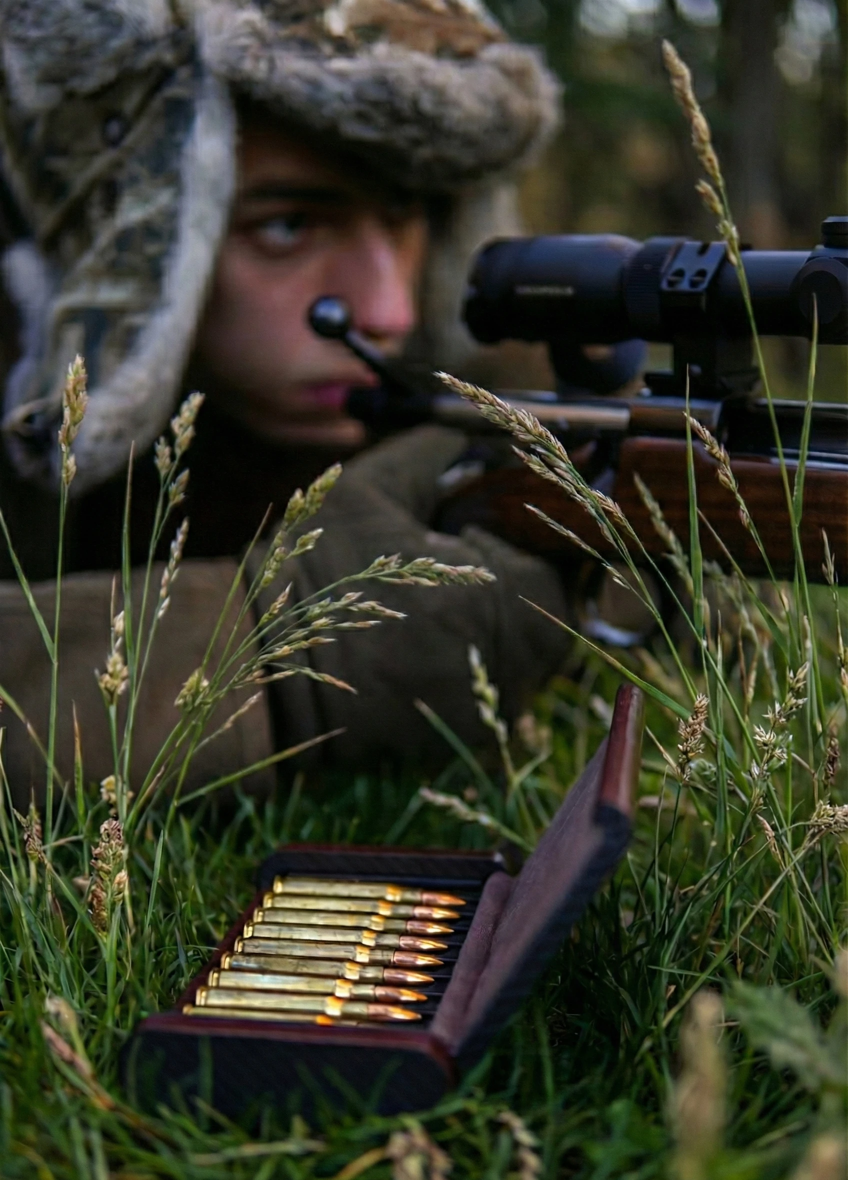 Consularis i användning